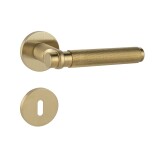 Okucia drzwiowe MP CB - GRYPS DL11 - R (Złoty mat) - poseł Zlata