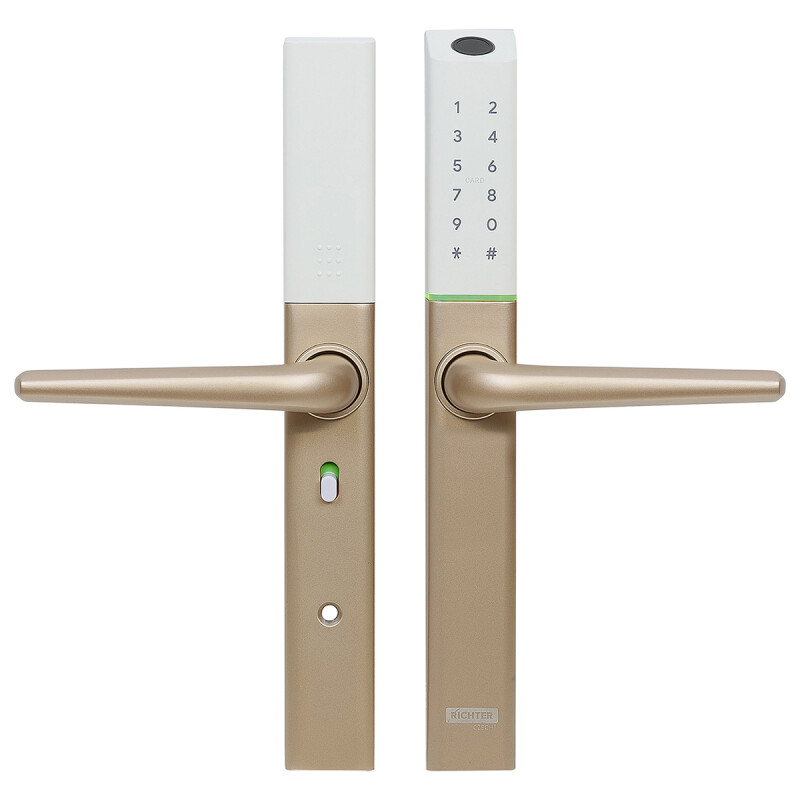 Richter digital door handle DH.S3B.RP (gold)