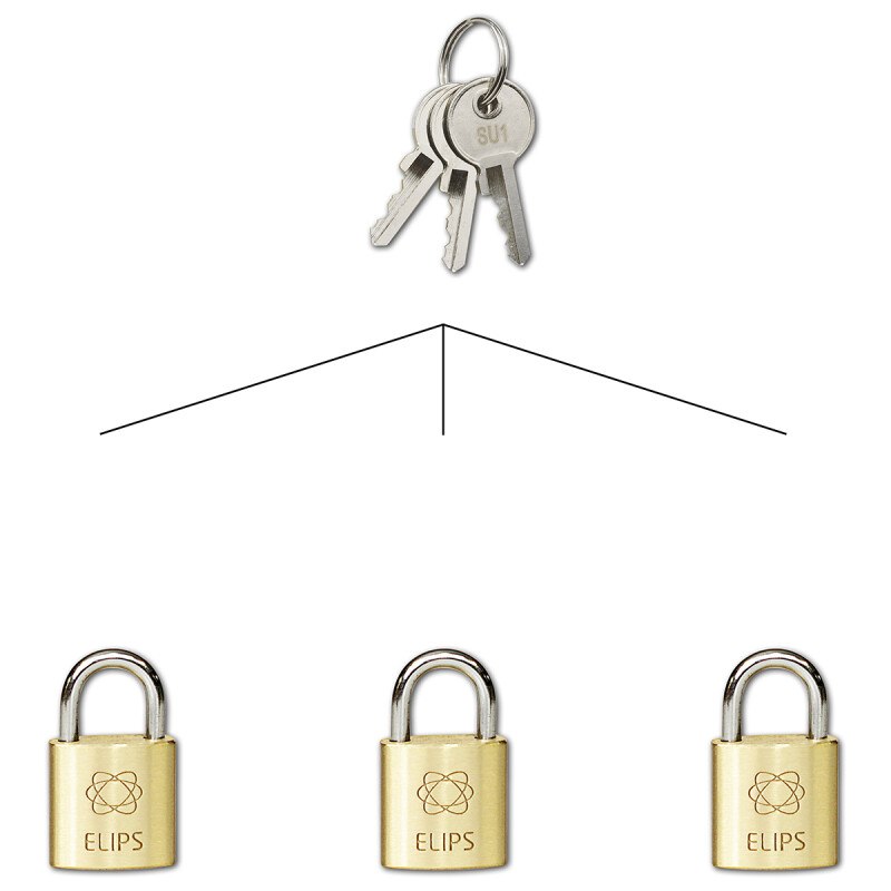 Kłódka do wspólnego zamykania SU RICHTER RV.ELIPS.20.SU1
