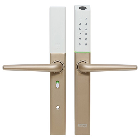 Richter digital door handle DH.S3B.RP (gold)