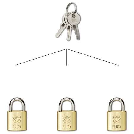 Kłódka do wspólnego zamykania SU RICHTER RV.ELIPS.20.SU1