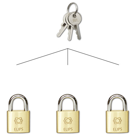 Kłódka do wspólnego zamykania - SU RICHTER RV.ELIPS.25.SU1