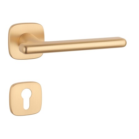 Okucia drzwiowe MP AS - MARANTA - QR 7S (OLS - Mosiądz szczotkowany)