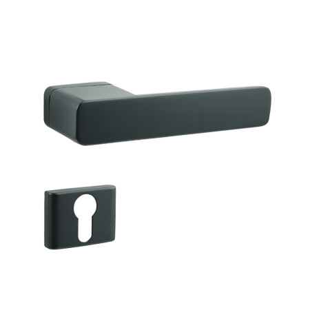 Okucia drzwiowe COBRA STRIGA-S (czarne)