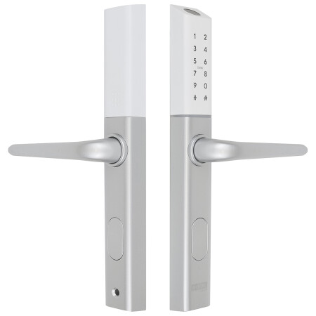 Richter digital door handle DH.S3B-C.STR (silver)