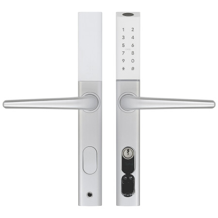 Richter digital door handle DH.S3B-C.STR (silver)