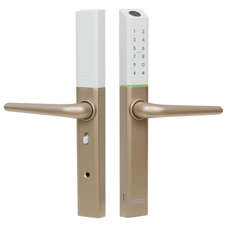 Richter digital door handle DH.S3B.RP (gold)