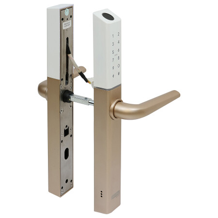 Richter digital door handle DH.S3B.RP (gold)